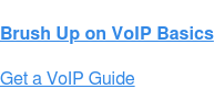 Brush Up on VoIP Basics Get a VoIP Guide
